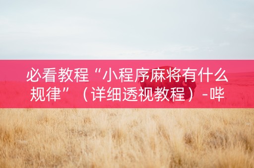 必看教程“小程序麻将有什么规律”（详细透视教程）-哔哩哔哩