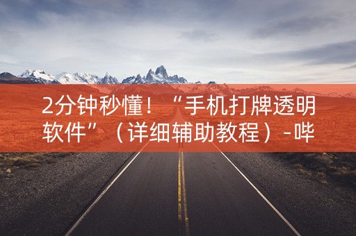 2分钟秒懂！“手机打牌透明软件”（详细辅助教程）-哔哩哔哩