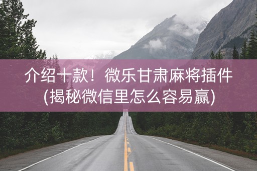 介绍十款！微乐甘肃麻将插件(揭秘微信里怎么容易赢)