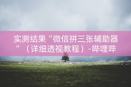 实测结果“微信拼三张辅助器”（详细透视教程）-哔哩哔哩