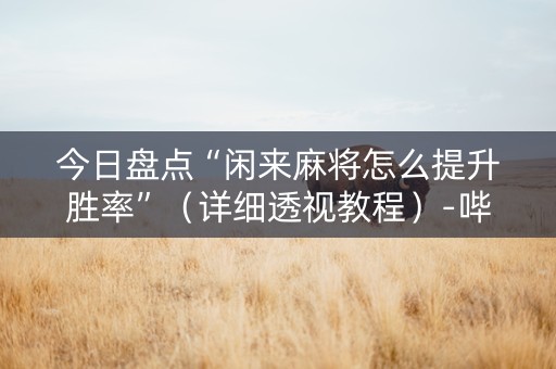 今日盘点“闲来麻将怎么提升胜率”（详细透视教程）-哔哩哔哩