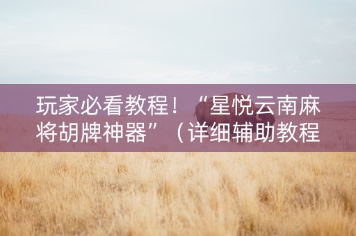 玩家必看教程！“星悦云南麻将胡牌神器”（详细辅助教程）-哔哩哔哩