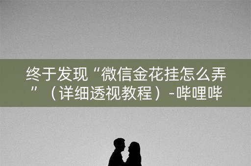 终于发现“微信金花挂怎么弄”（详细透视教程）-哔哩哔哩