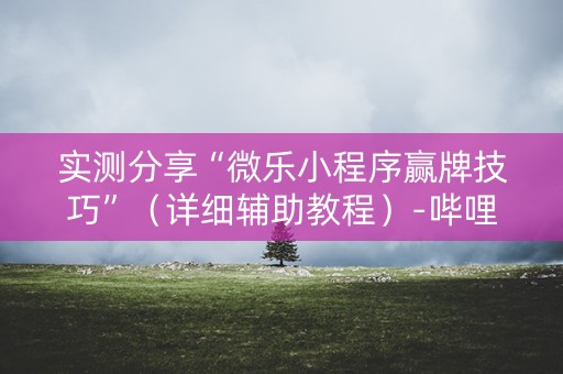 实测分享“微乐小程序赢牌技巧”（详细辅助教程）-哔哩哔哩