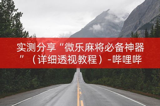 实测分享“微乐麻将必备神器”（详细透视教程）-哔哩哔哩