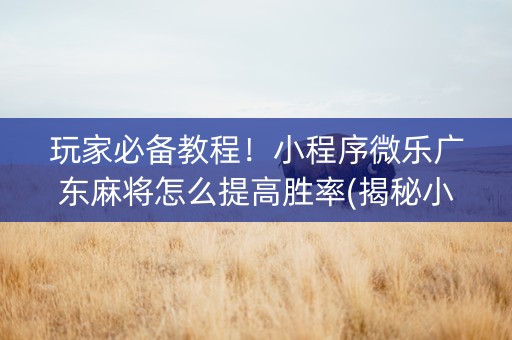 玩家必备教程！小程序微乐广东麻将怎么提高胜率(揭秘小程序提高胜率)