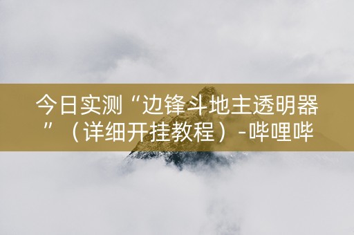 今日实测“边锋斗地主透明器”（详细开挂教程）-哔哩哔哩