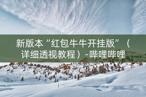 新版本“红包牛牛开挂版”（详细透视教程）-哔哩哔哩