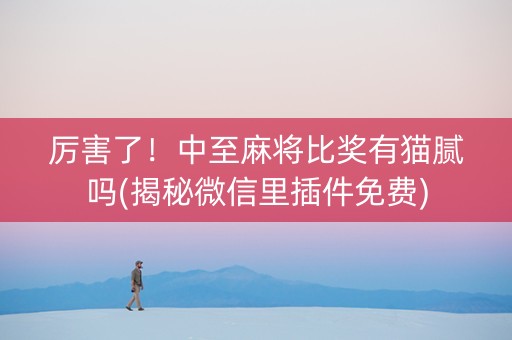 厉害了！中至麻将比奖有猫腻吗(揭秘微信里插件免费)