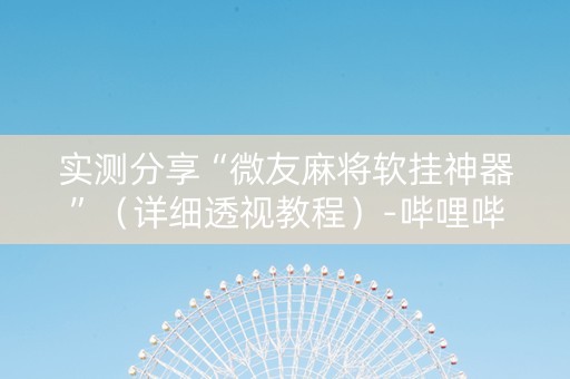 实测分享“微友麻将软挂神器”（详细透视教程）-哔哩哔哩