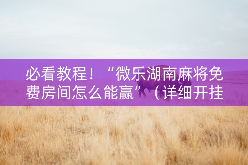 必看教程！“微乐湖南麻将免费房间怎么能赢”（详细开挂教程）-哔哩哔哩