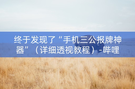 终于发现了“手机三公报牌神器”（详细透视教程）-哔哩哔哩