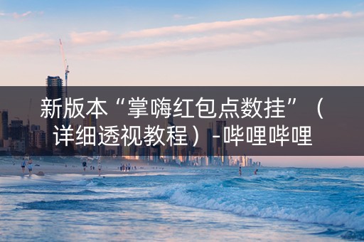 新版本“掌嗨红包点数挂”（详细透视教程）-哔哩哔哩