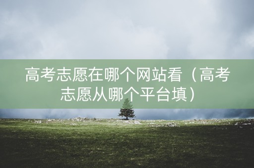 高考志愿在哪个网站看（高考志愿从哪个平台填）