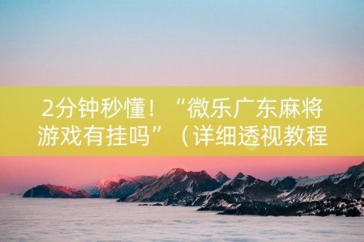 2分钟秒懂！“微乐广东麻将游戏有挂吗”（详细透视教程）-哔哩哔哩