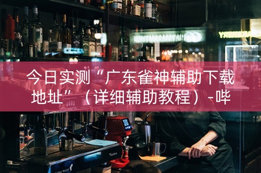 今日实测“广东雀神辅助下载地址”（详细辅助教程）-哔哩哔哩