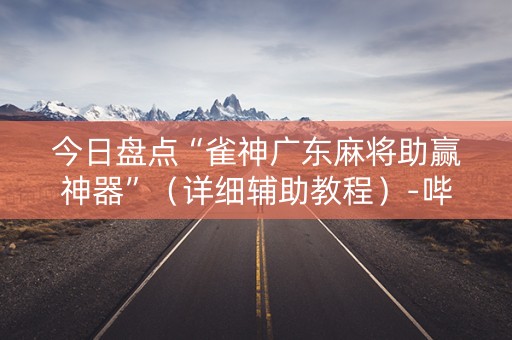 今日盘点“雀神广东麻将助赢神器”（详细辅助教程）-哔哩哔哩