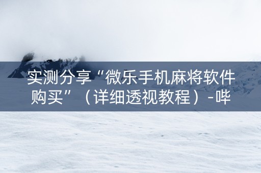 实测分享“微乐手机麻将软件购买”（详细透视教程）-哔哩哔哩