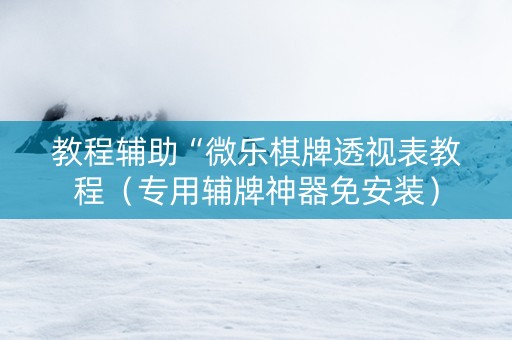 教程辅助“微乐棋牌透视表教程（专用辅牌神器免安装）