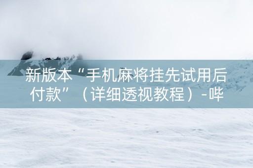 新版本“手机麻将挂先试用后付款”（详细透视教程）-哔哩哔哩