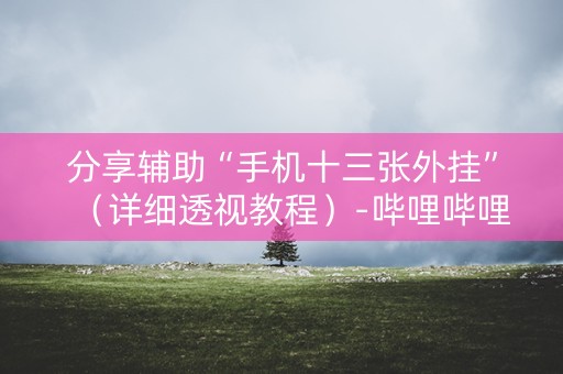 分享辅助“手机十三张外挂”（详细透视教程）-哔哩哔哩