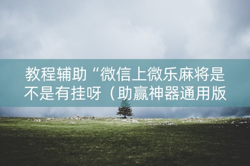 教程辅助“微信上微乐麻将是不是有挂呀（助赢神器通用版）