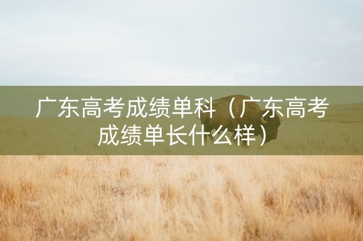 广东高考成绩单科（广东高考成绩单长什么样）