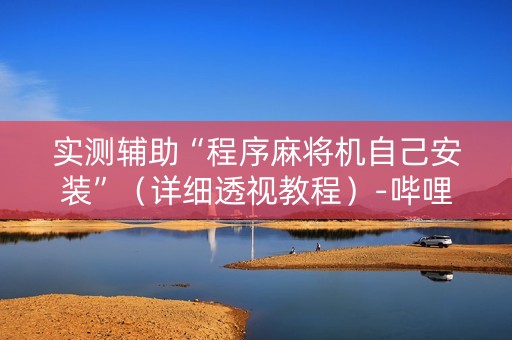 实测辅助“程序麻将机自己安装”（详细透视教程）-哔哩哔哩