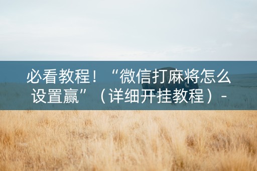 必看教程！“微信打麻将怎么设置赢”（详细开挂教程）-哔哩哔哩