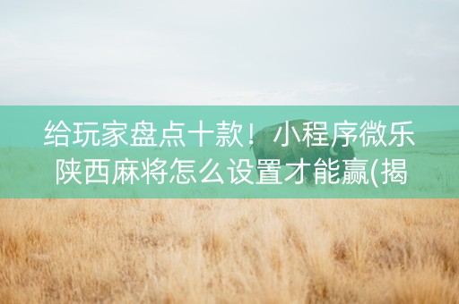 给玩家盘点十款！小程序微乐陕西麻将怎么设置才能赢(揭秘小程序提高赢的概率)