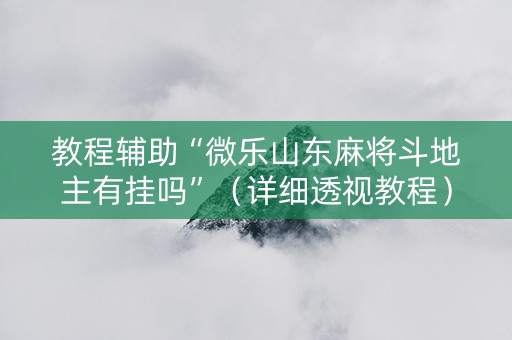 教程辅助“微乐山东麻将斗地主有挂吗”（详细透视教程）-哔哩哔哩