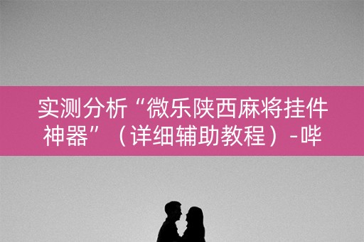 实测分析“微乐陕西麻将挂件神器”（详细辅助教程）-哔哩哔哩