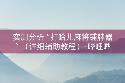 实测分析“打哈儿麻将铺牌器”（详细辅助教程）-哔哩哔哩