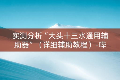 实测分析“大头十三水通用辅助器”（详细辅助教程）-哔哩哔哩