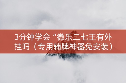 3分钟学会“微乐二七王有外挂吗（专用辅牌神器免安装）