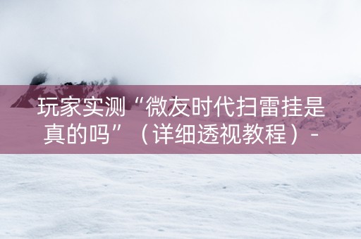 玩家实测“微友时代扫雷挂是真的吗”（详细透视教程）-哔哩哔哩
