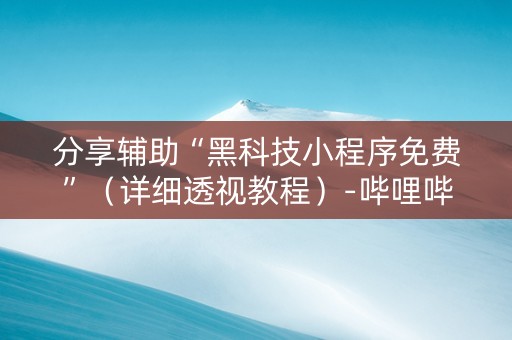 分享辅助“黑科技小程序免费”（详细透视教程）-哔哩哔哩
