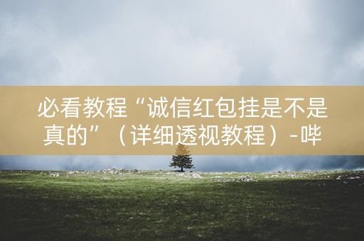 必看教程“诚信红包挂是不是真的”（详细透视教程）-哔哩哔哩