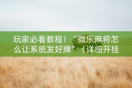 玩家必看教程！“微乐麻将怎么让系统发好牌”（详细开挂教程）-哔哩哔哩