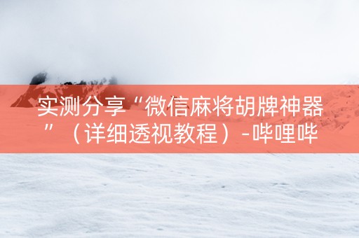 实测分享“微信麻将胡牌神器”（详细透视教程）-哔哩哔哩