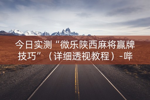 今日实测“微乐陕西麻将赢牌技巧”（详细透视教程）-哔哩哔哩