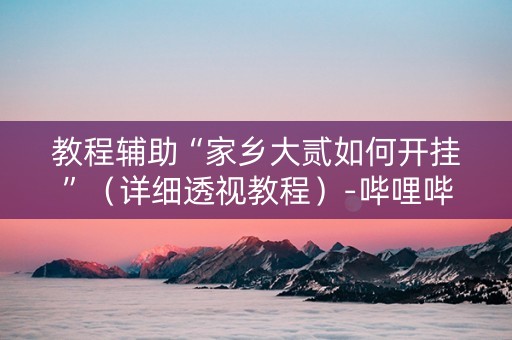 教程辅助“家乡大贰如何开挂”（详细透视教程）-哔哩哔哩