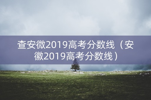 查安微2019高考分数线（安徽2019高考分数线）