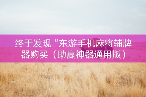 终于发现“东游手机麻将辅牌器购买（助赢神器通用版）