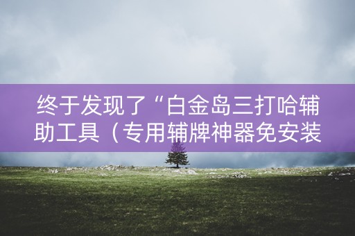 终于发现了“白金岛三打哈辅助工具（专用辅牌神器免安装）