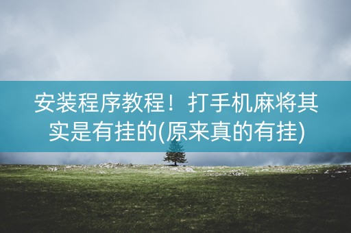 安装程序教程！打手机麻将其实是有挂的(原来真的有挂)