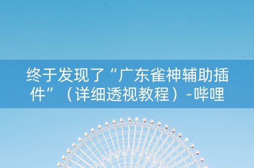 终于发现了“广东雀神辅助插件”（详细透视教程）-哔哩哔哩