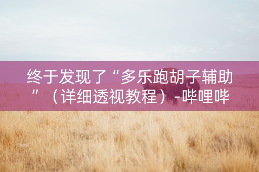 终于发现了“多乐跑胡子辅助”（详细透视教程）-哔哩哔哩