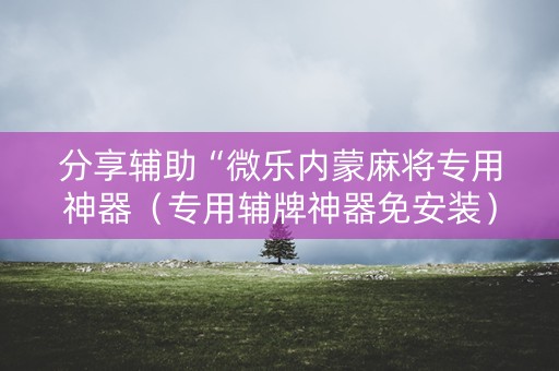 分享辅助“微乐内蒙麻将专用神器（专用辅牌神器免安装）