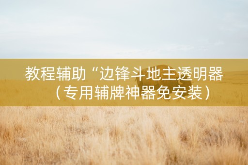 教程辅助“边锋斗地主透明器（专用辅牌神器免安装）